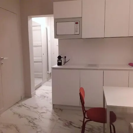 Flamingo * 니스